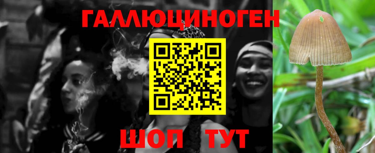 Галлюциногенные грибы Psilocybe  Вход с VPN  Псилоцибиновые грибы мицелий  Комсомольск-на-Амуре 